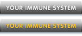 YOUR IMMUNE SYSTEM